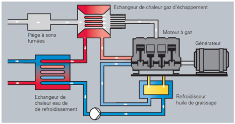 circuit cogénération