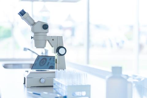 laboratoire